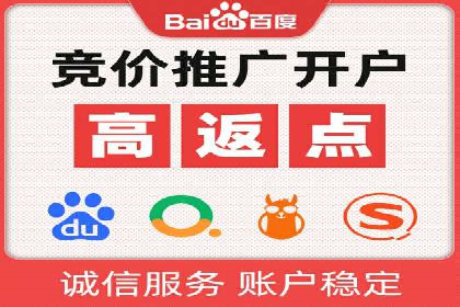 某某SEM服务公司成功案例：从数据出发的营销策略